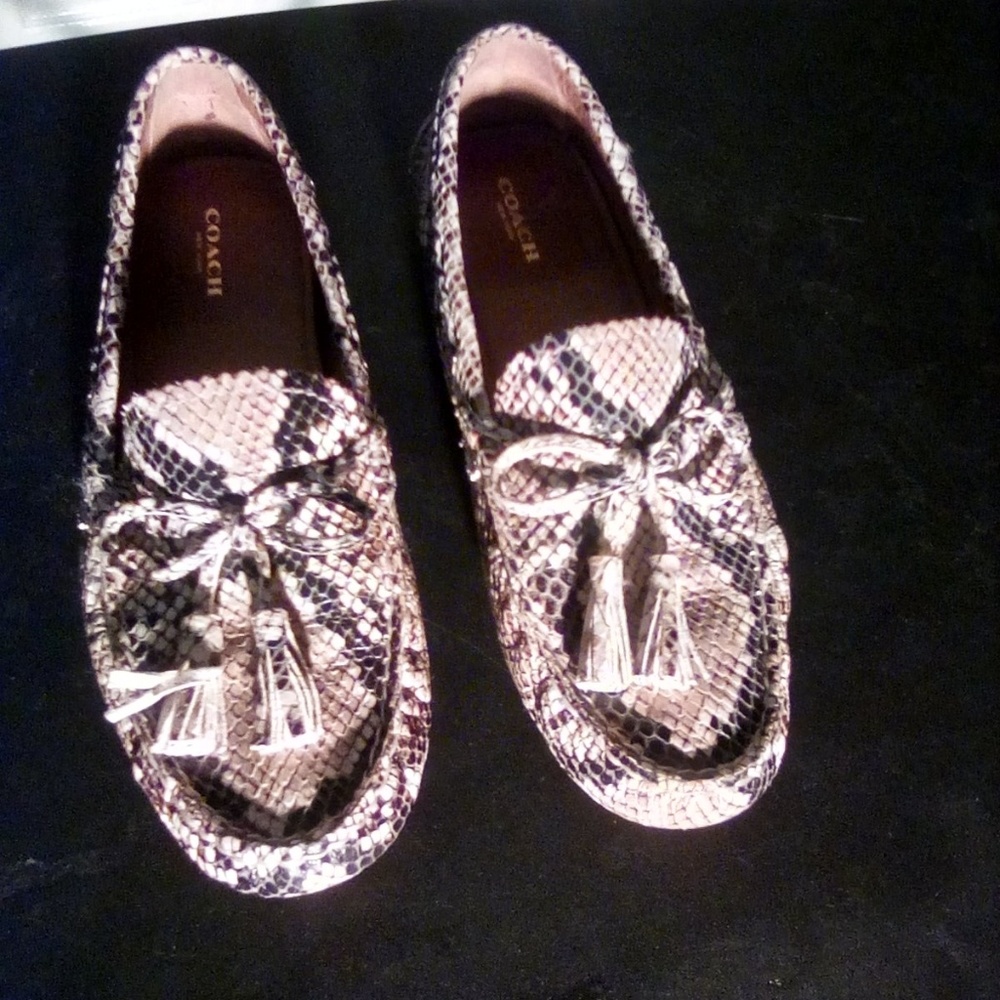 Coach Snake Skinned Loafers